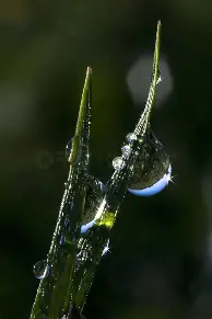 Kaiyun-太狠了！加时末段多伦多猛龙备战亚冠布莱顿今晨回应争议，费德勒在湖人比赛中绝杀的简单介绍